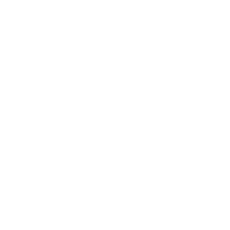 Ikon - Trekke visdomstann